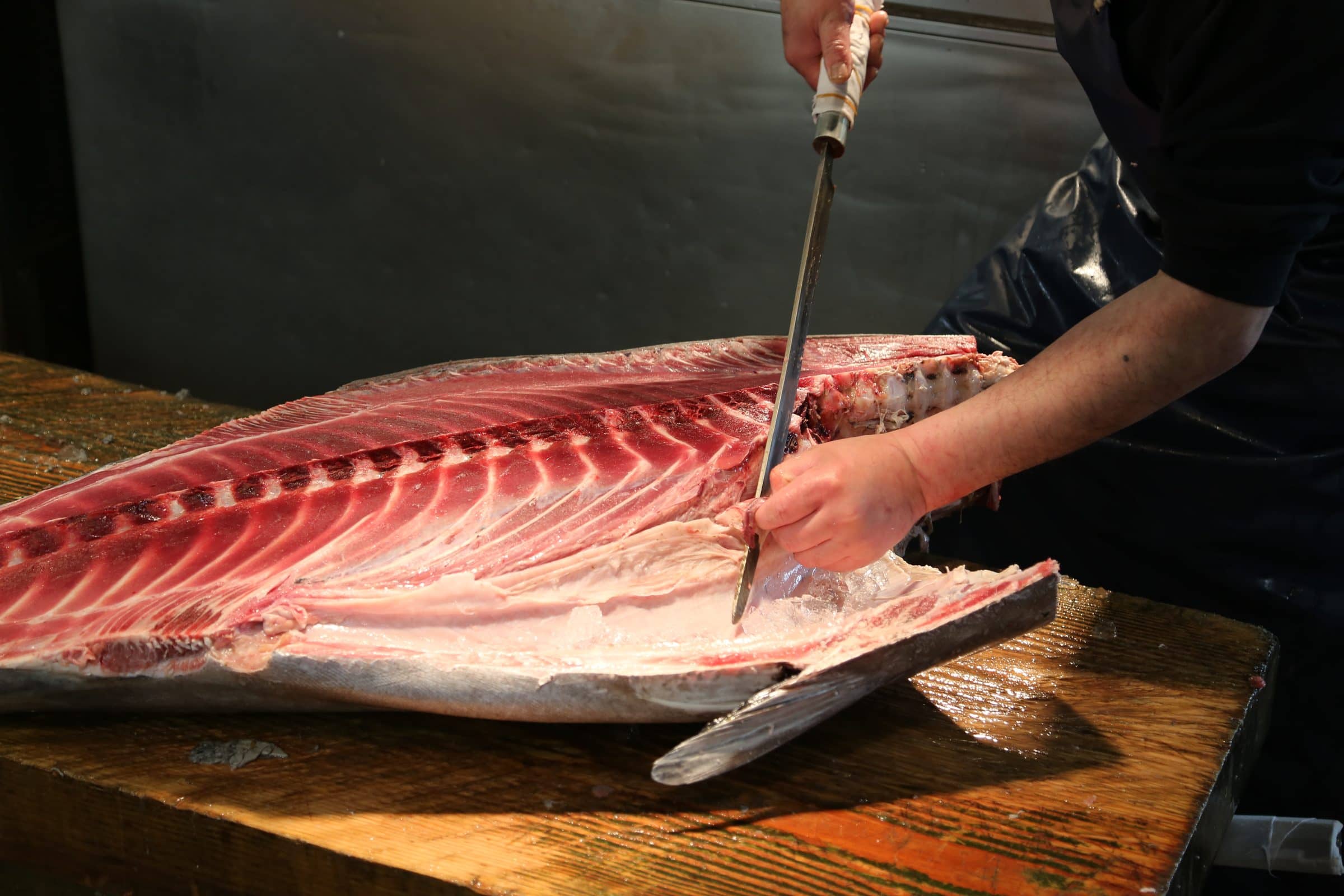 Thunfisch wird filetiert