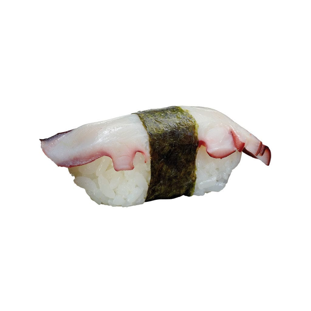 Kaiten Sushi Nigiri Oktopus